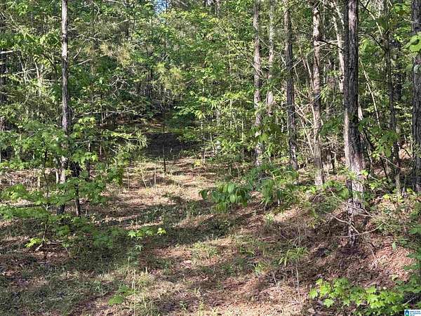 66.9 Acres of Agricultural & Residential Land for Sale in Vincent, Alabama
