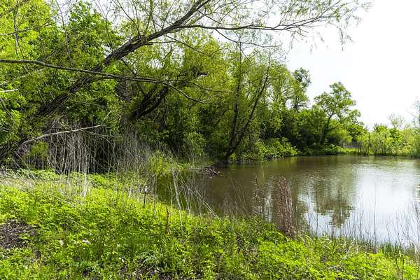 2.5 Acres of Residential Land for Sale in Palmer, Texas