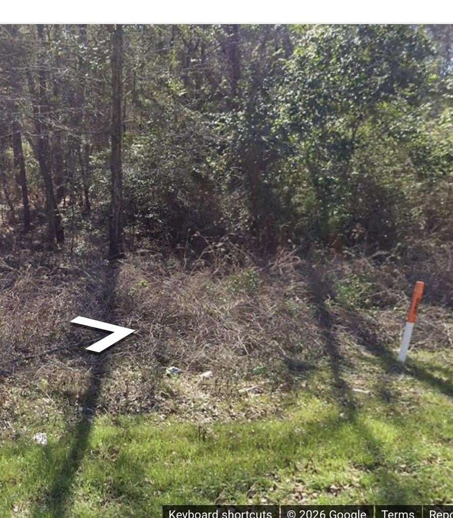 5.5 Acres of Residential Land for Sale in Eutawville, South Carolina