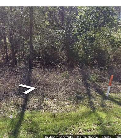 5.5 Acres of Residential Land for Sale in Eutawville, South Carolina