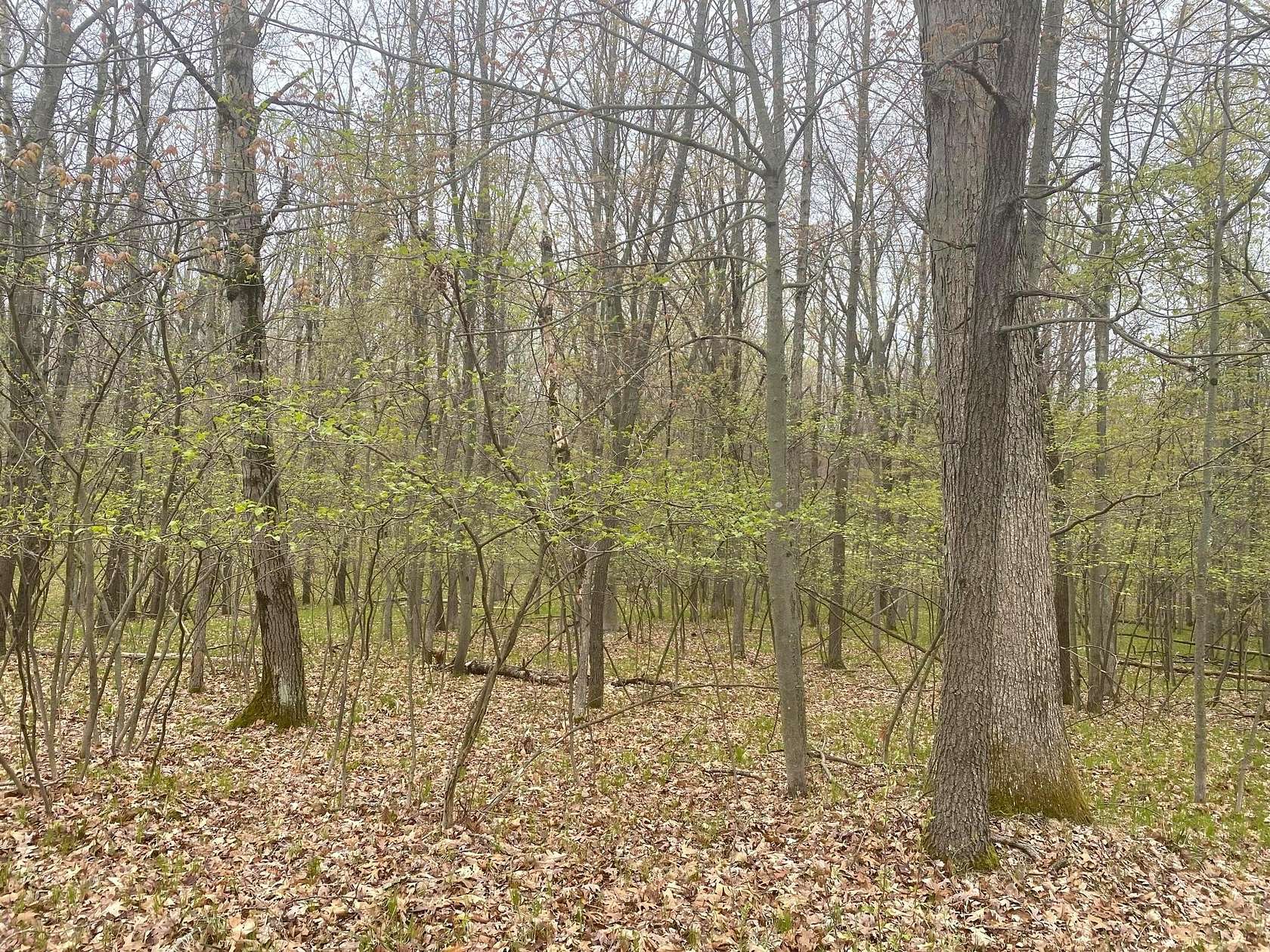 0.27 Acres of Residential Land for Sale in Canadian Lakes, Michigan
