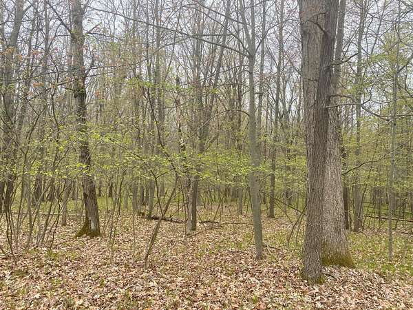 0.27 Acres of Residential Land for Sale in Canadian Lakes, Michigan