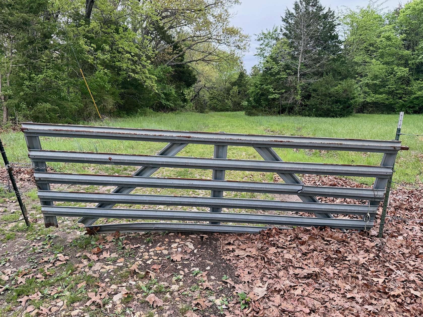 50 Acres of Land for Sale in Rogersville, Missouri