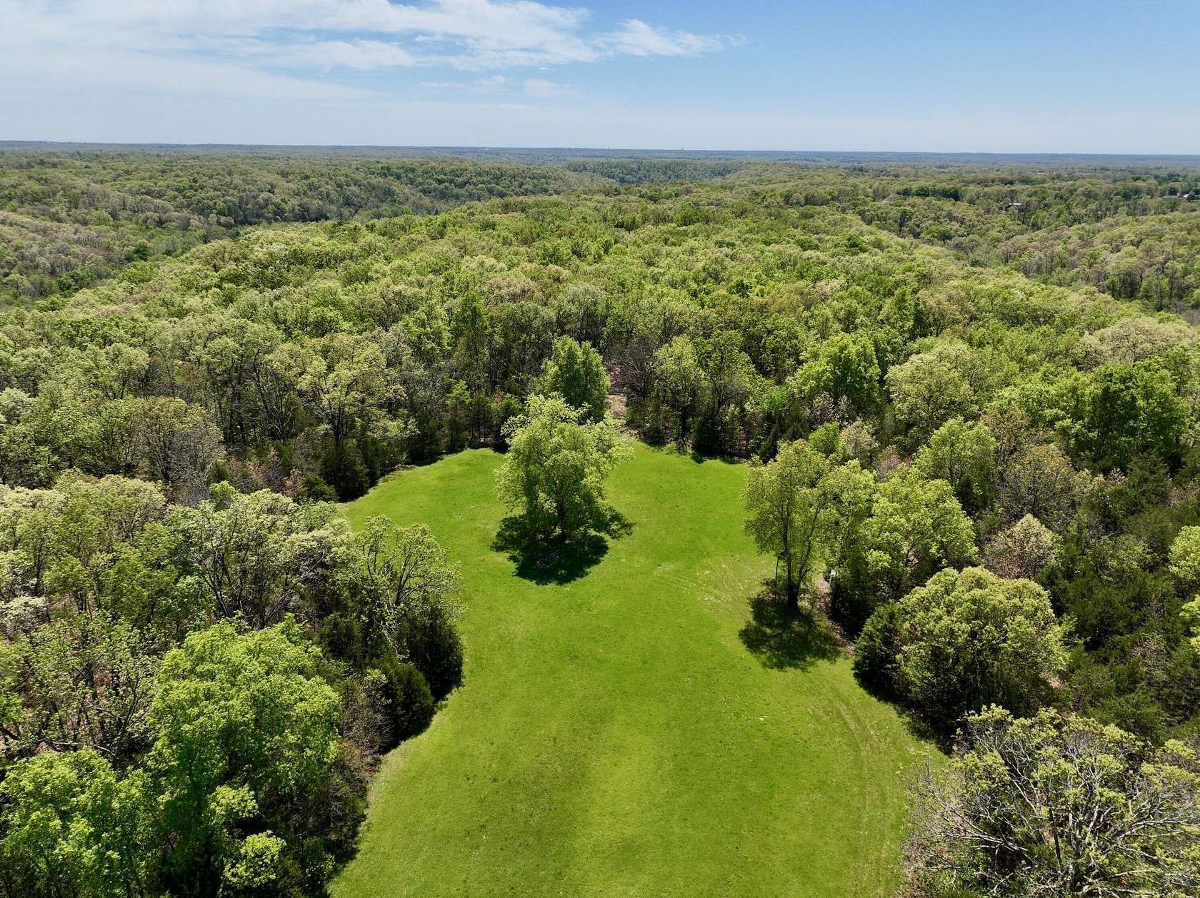 50 Acres of Land for Sale in Rogersville, Missouri