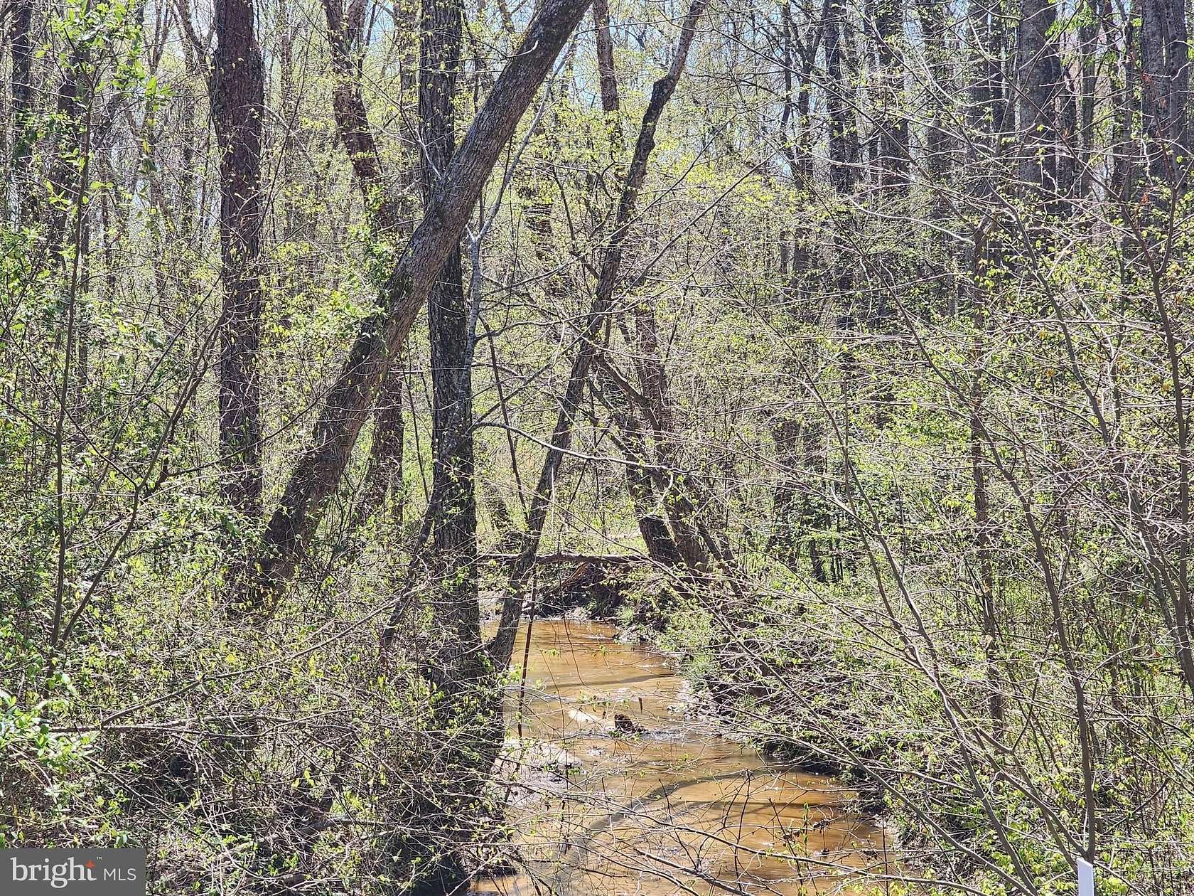 28 Acres of Recreational & Residential Land for Sale in Bumpass, Virginia