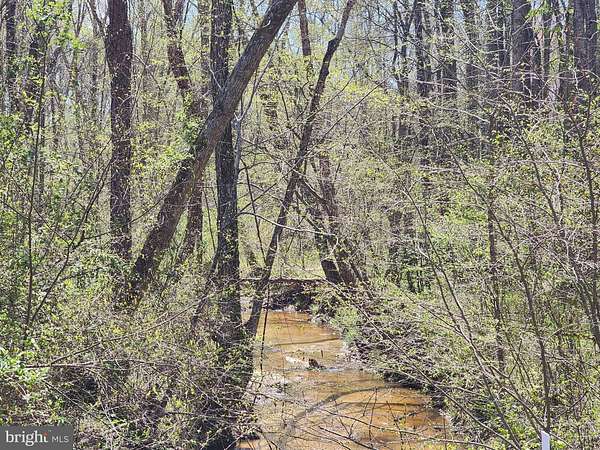 28 Acres of Recreational & Residential Land for Sale in Bumpass, Virginia