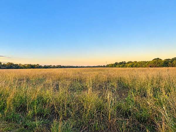 19.8 Acres of Agricultural Land for Sale in Bonham, Texas