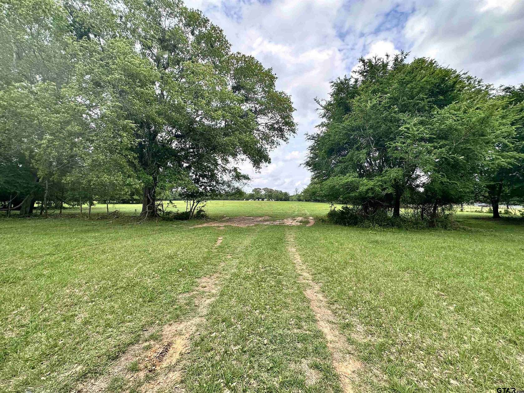 32.5 Acres of Land for Sale in Frankston, Texas