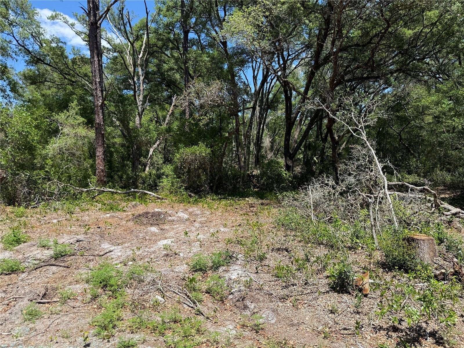 0.26 Acres of Residential Land for Sale in Ocklawaha, Florida