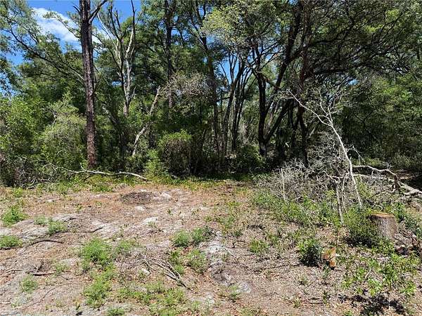 0.26 Acres of Residential Land for Sale in Ocklawaha, Florida