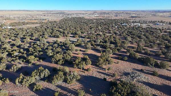 17.7 Acres of Land for Sale in Taylor, Arizona