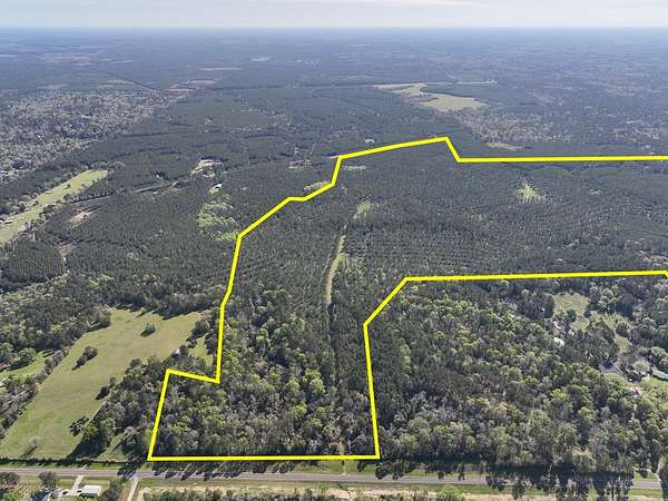 380 Acres of Recreational Land for Sale in Livingston, Texas