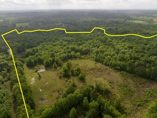 54.1 Acres of Recreational Land for Sale in Crockett, Texas