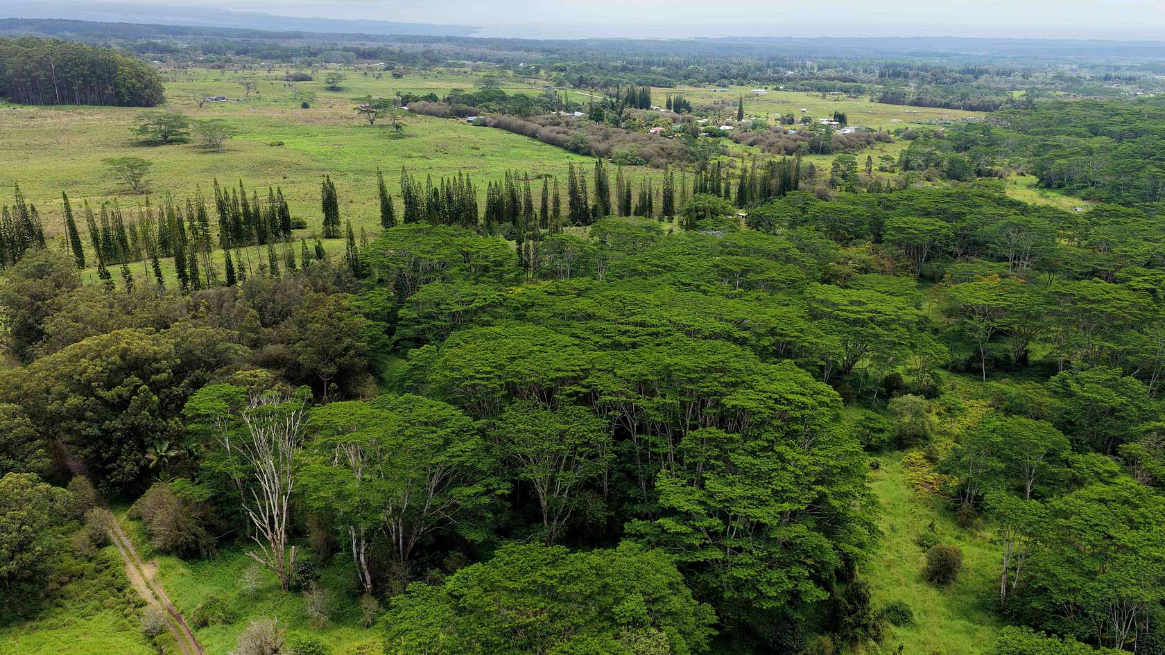 16.5 Acres of Land for Sale in Mountain View, Hawaii