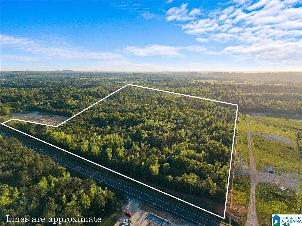 42.5 Acres of Land for Sale in Ohatchee, Alabama