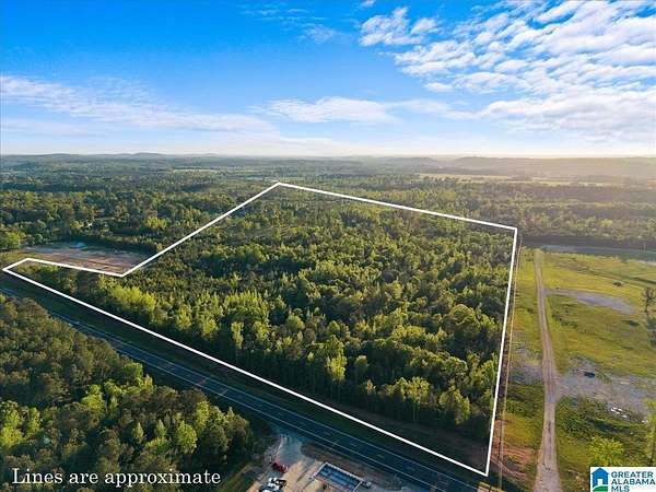 42.5 Acres of Land for Sale in Ohatchee, Alabama