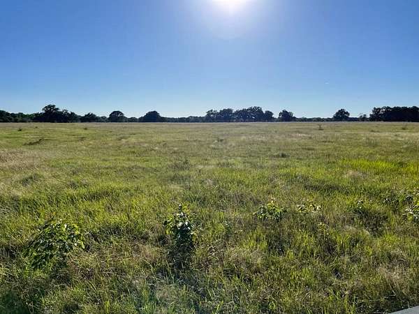 10 Acres of Land for Sale in Sulphur Bluff, Texas