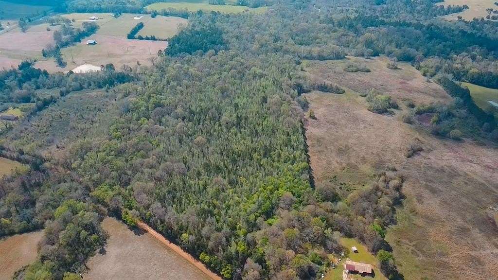 75 Acres of Recreational & Residential Land for Sale in Naples, Texas