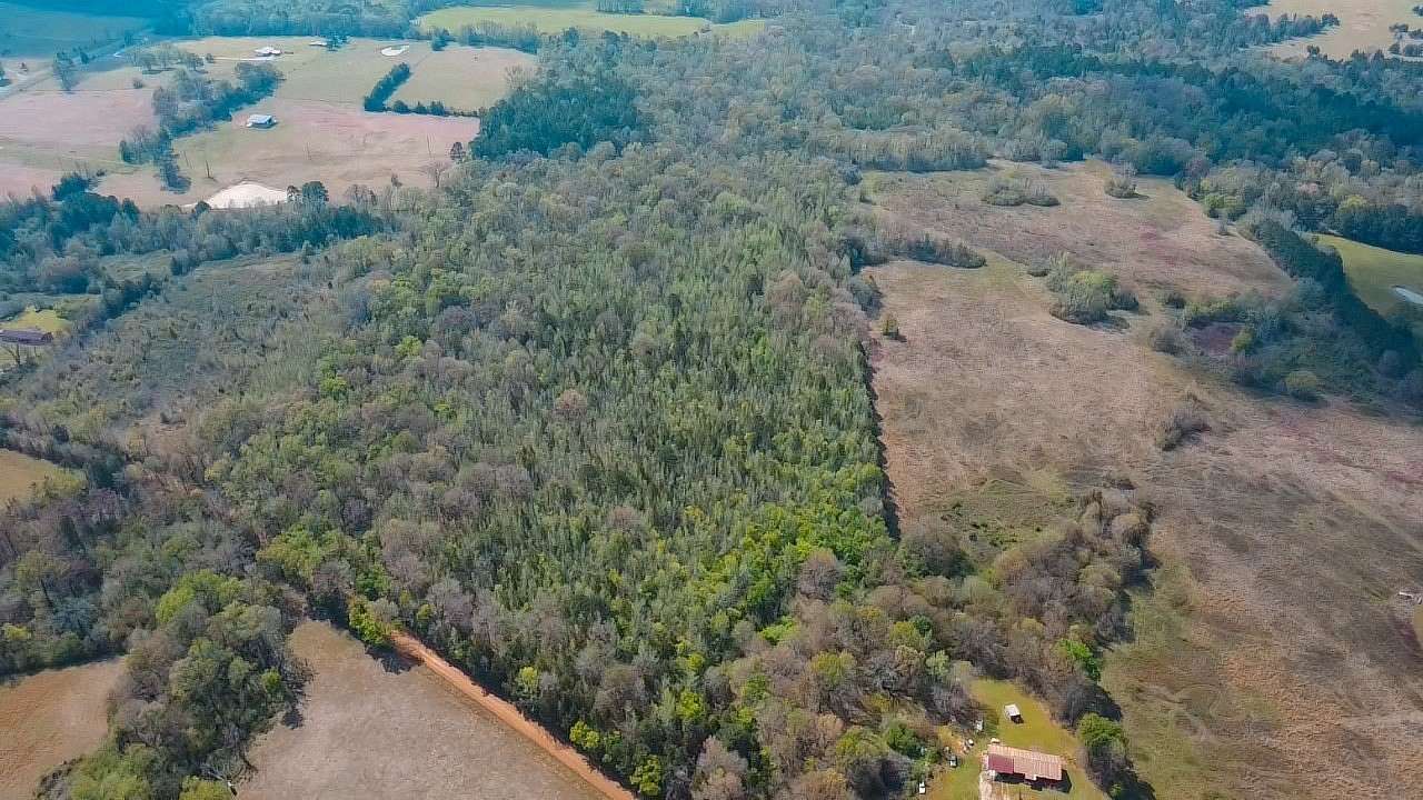 75 Acres of Recreational & Residential Land for Sale in Naples, Texas