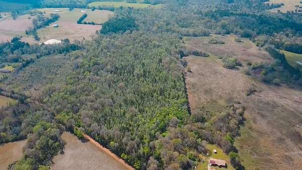 75 Acres of Recreational & Residential Land for Sale in Naples, Texas