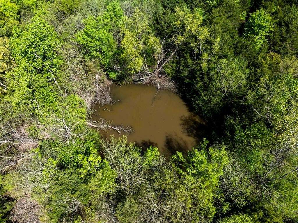 13.8 Acres of Land for Sale in Wolfe City, Texas