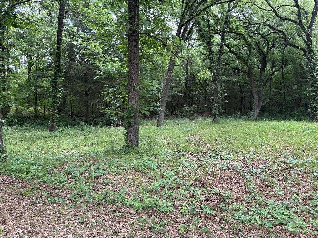 0.3 Acres of Land for Sale in Quinlan, Texas