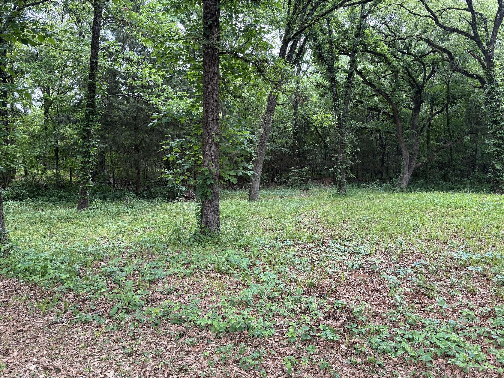 0.3 Acres of Residential Land for Sale in Quinlan, Texas