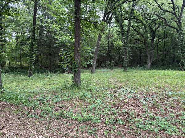 0.3 Acres of Residential Land for Sale in Quinlan, Texas