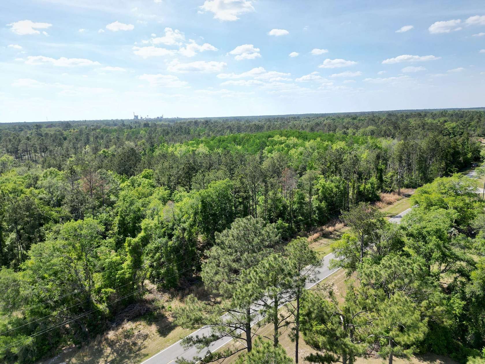 23.6 Acres of Recreational Land for Sale in Valdosta, Georgia
