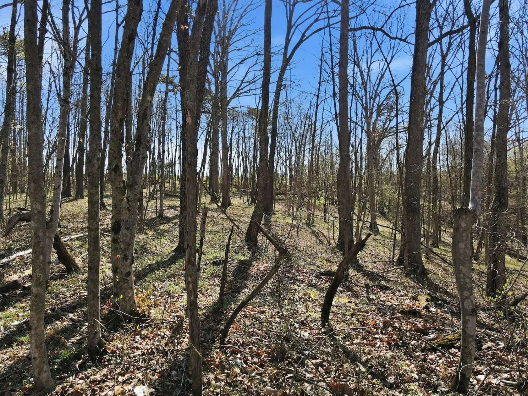 40 Acres of Recreational Land for Sale in Jackson, Ohio