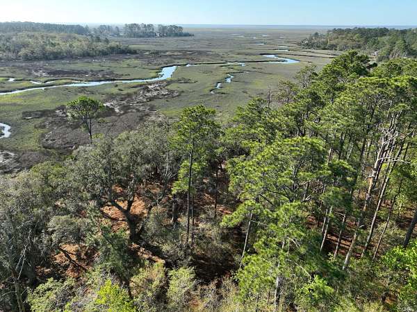 3.45 Acres of Land for Sale in Waverly, Georgia