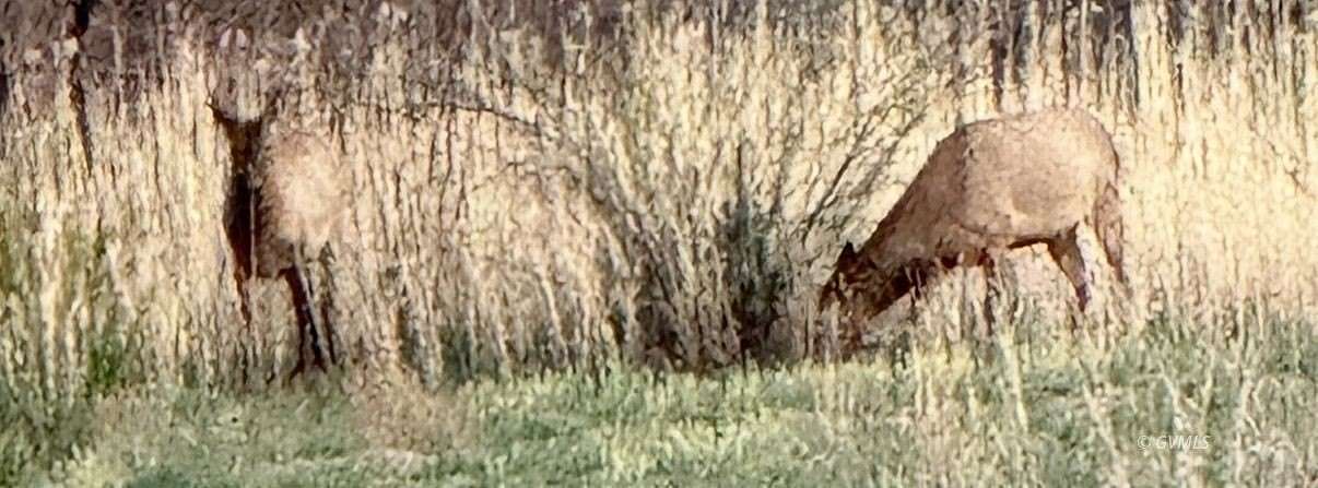 322 Acres of Agricultural Land for Sale in Fort Thomas, Arizona