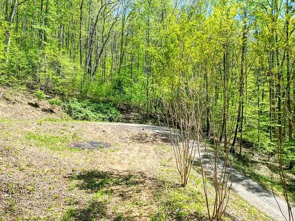 1.5 Acres of Residential Land for Sale in Hiawassee, Georgia
