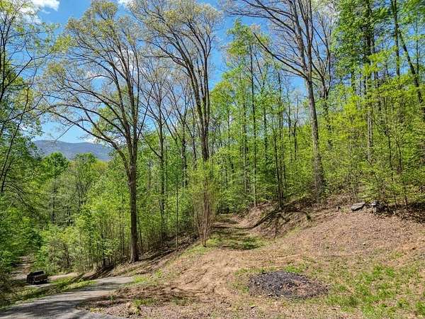 1.5 Acres of Residential Land for Sale in Hiawassee, Georgia