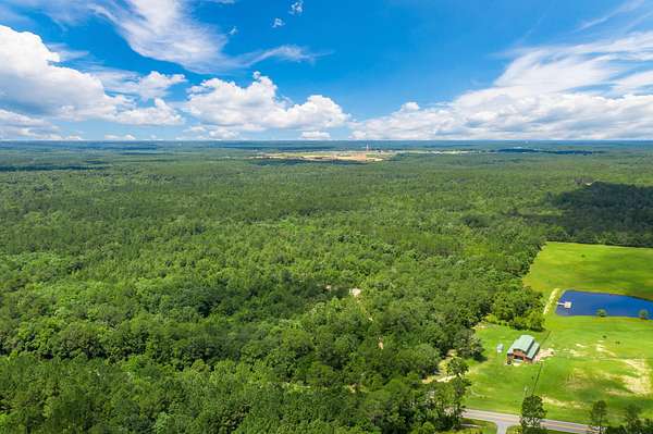 220 Acres of Land for Sale in DeFuniak Springs, Florida