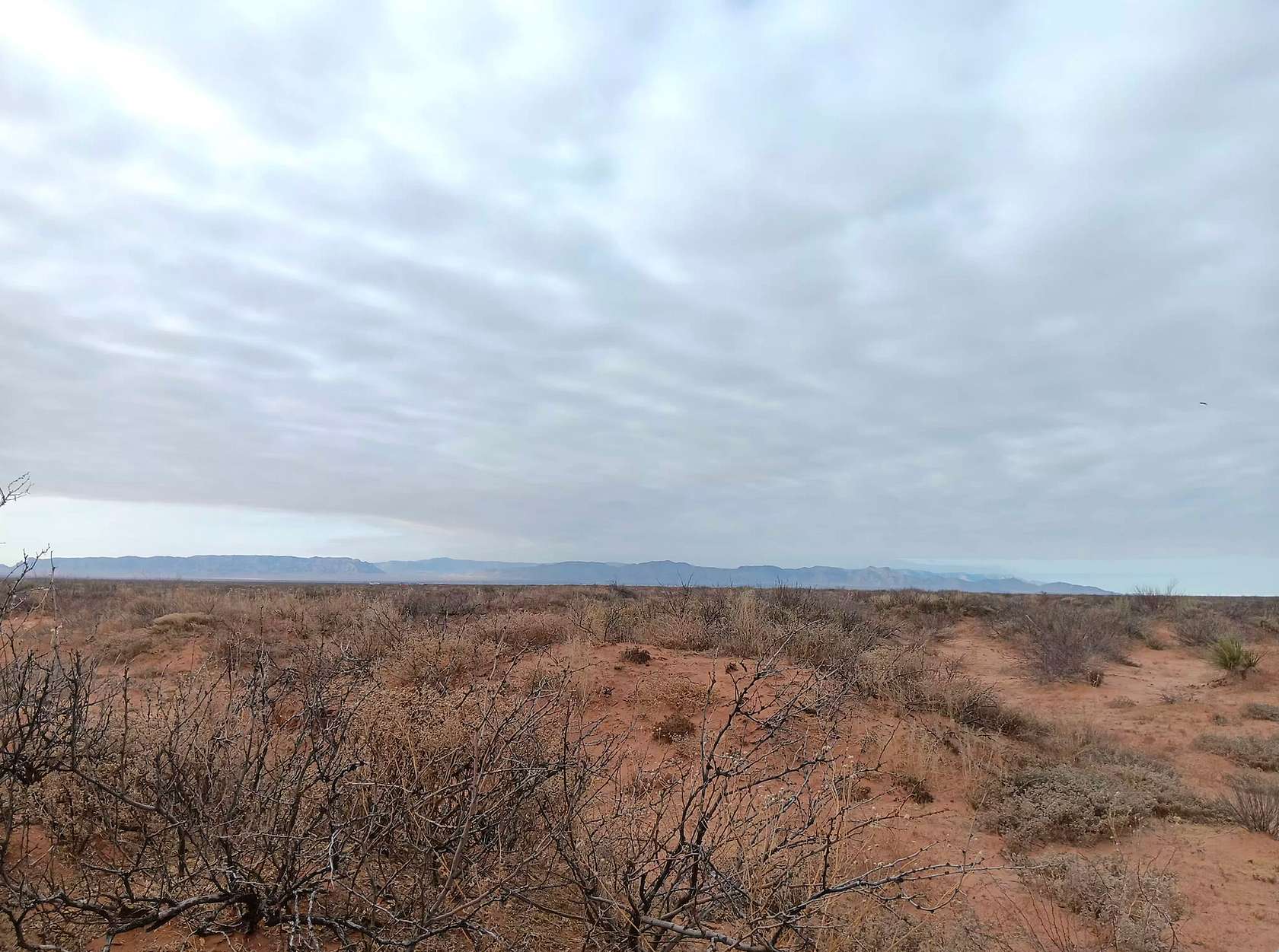 10 Acres of Recreational & Residential Land for Sale in Salt Flat, Texas