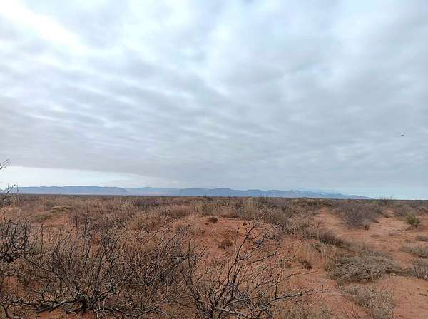 10 Acres of Recreational & Residential Land for Sale in Salt Flat, Texas