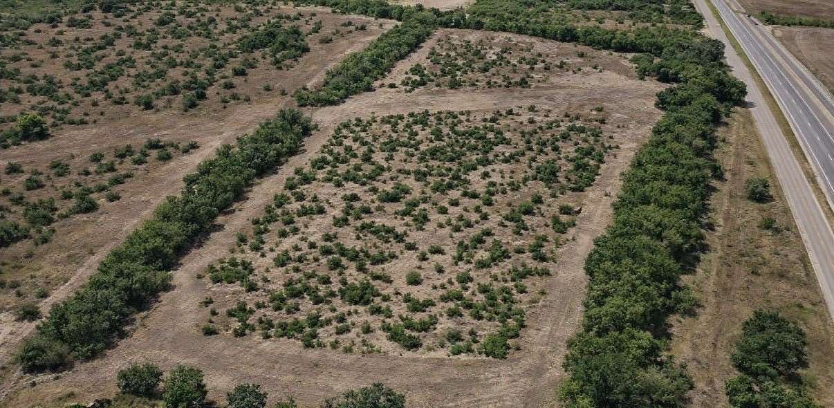 22 Acres of Land for Sale in Alice, Texas