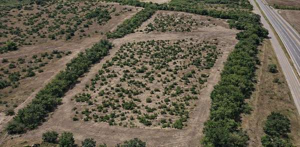 16 Acres of Land for Sale in Alice, Texas