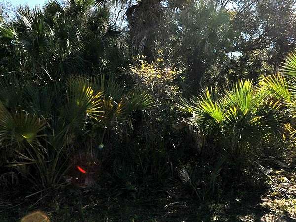 0.23 Acres of Residential Land for Sale in North Port, Florida