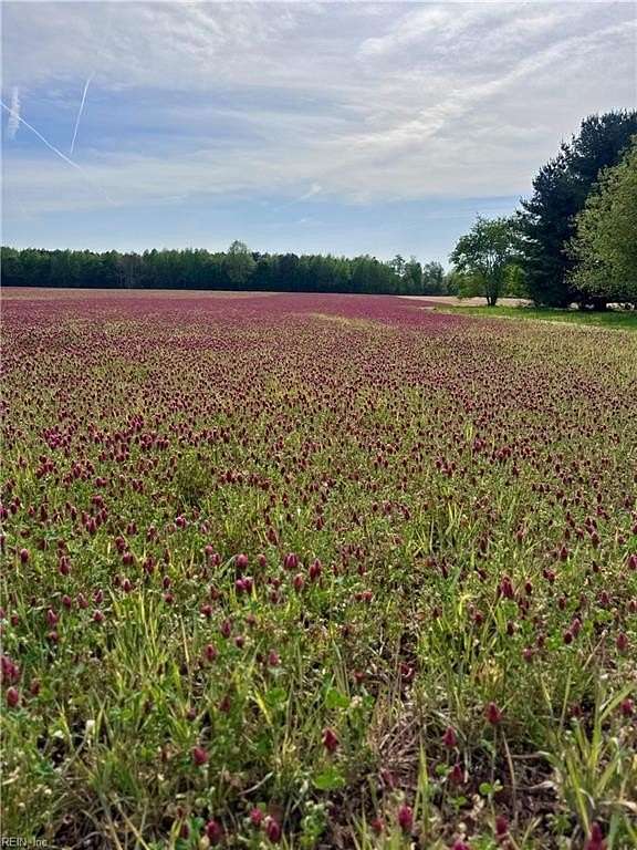 21.7 Acres of Recreational Land for Sale in Windsor, Virginia