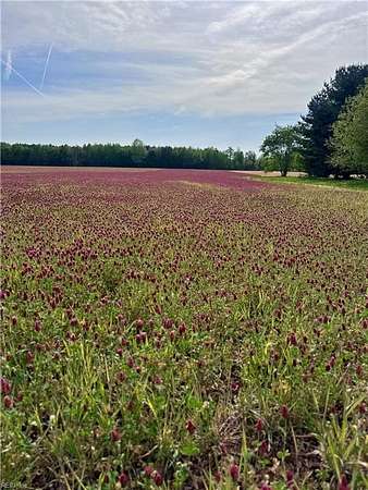 21.7 Acres of Recreational Land for Sale in Windsor, Virginia