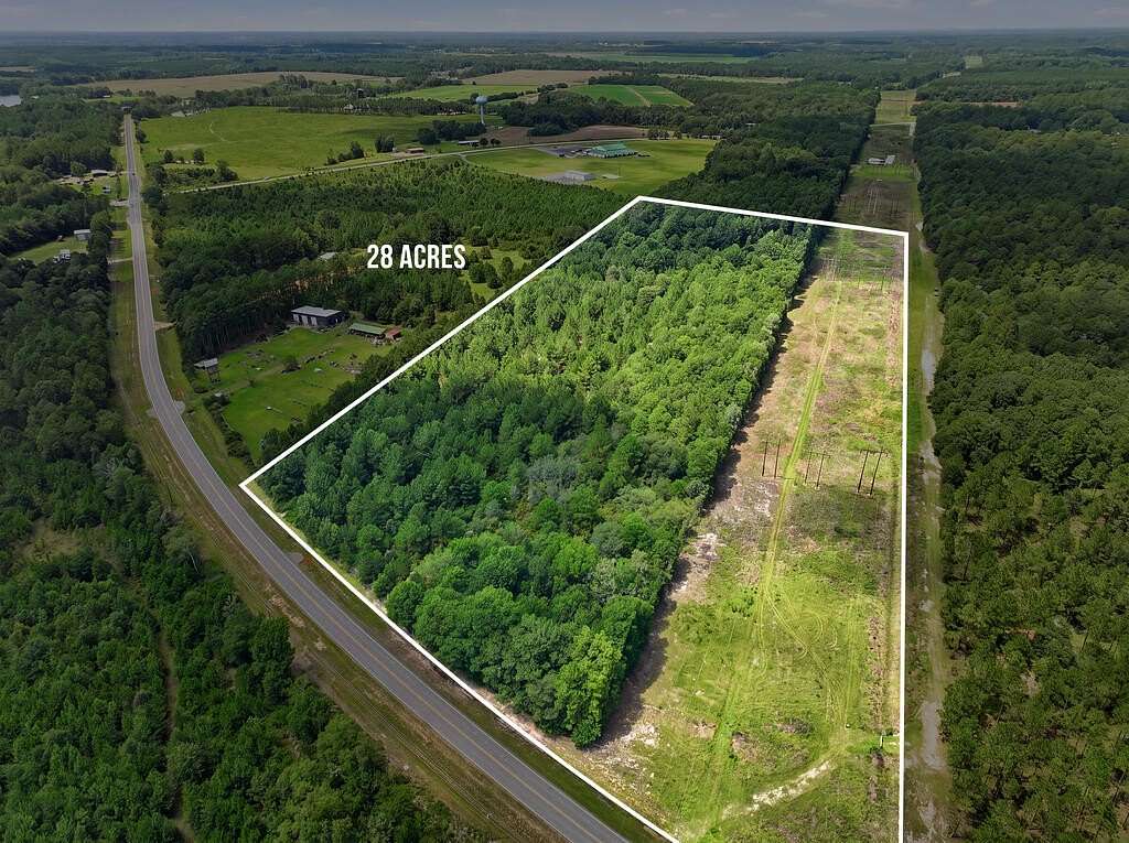 28 Acres of Land for Sale in Fitzgerald, Georgia