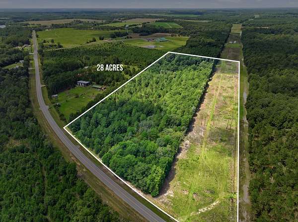 28 Acres of Land for Sale in Fitzgerald, Georgia