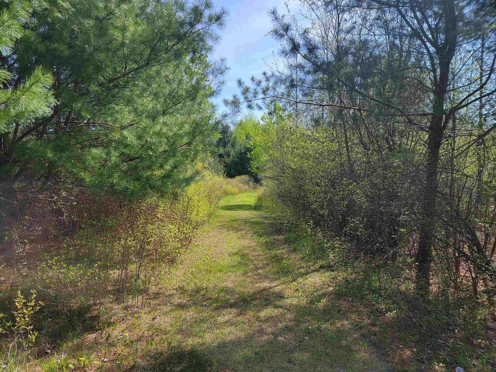 32.7 Acres of Recreational Land for Sale in Gladwin, Michigan