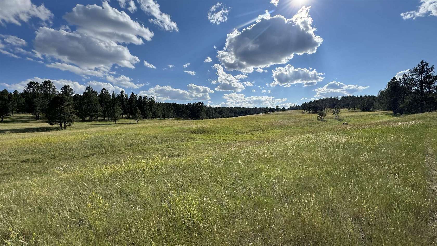 20 Acres of Land for Sale in Hot Springs, South Dakota