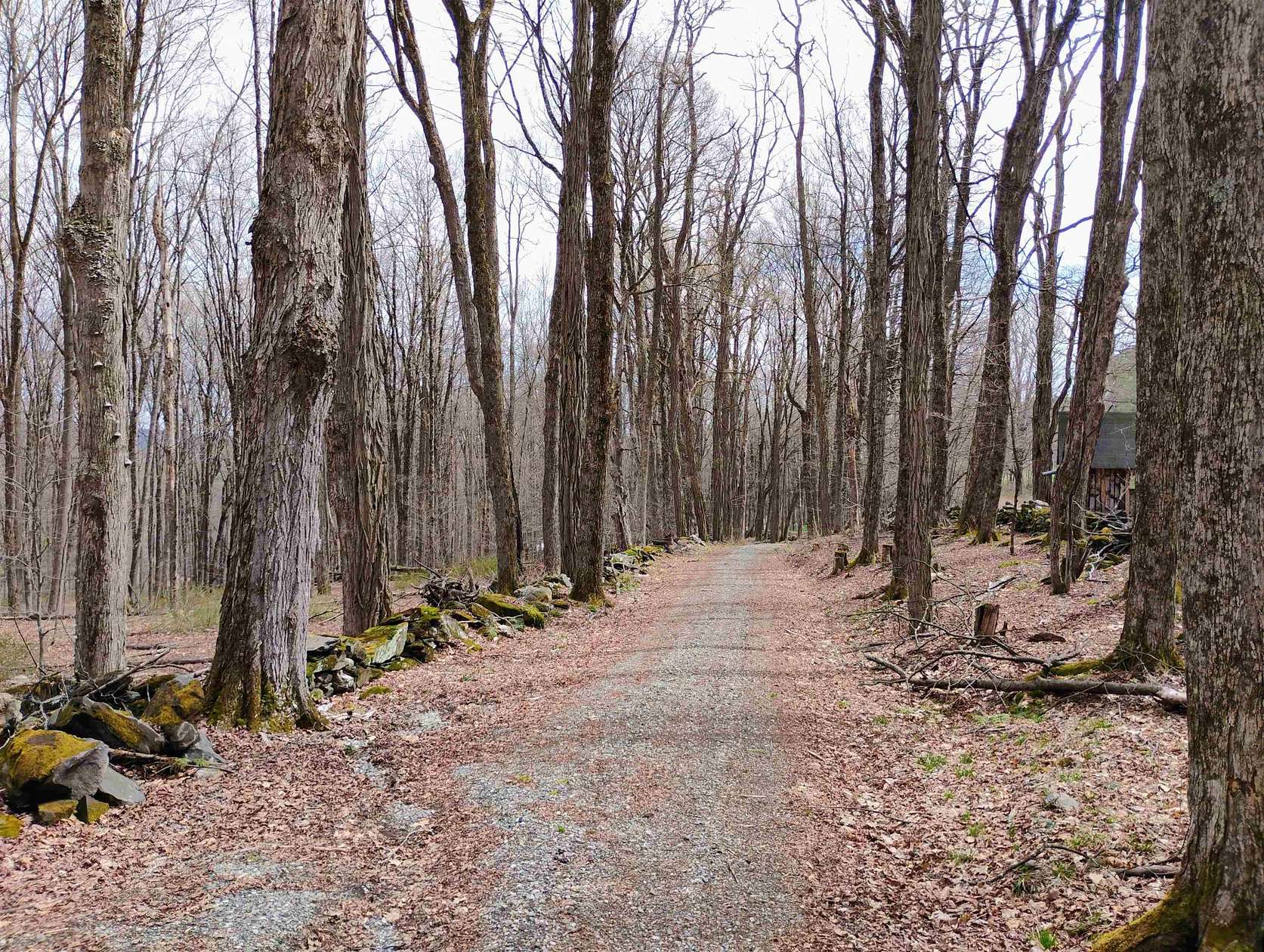 12.7 Acres of Land for Sale in Putney, Vermont