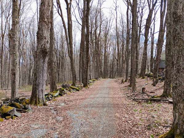 12.7 Acres of Land for Sale in Putney, Vermont