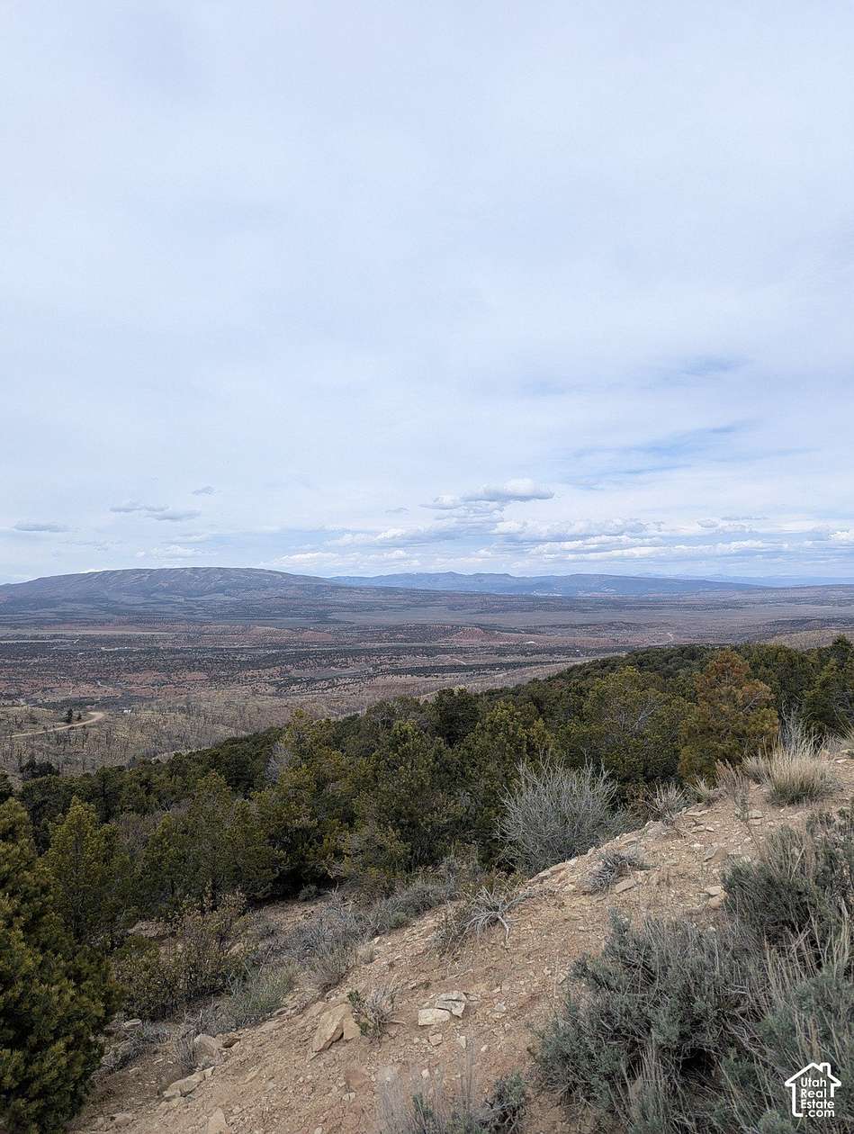 10 Acres of Land for Sale in Fruitland, Utah