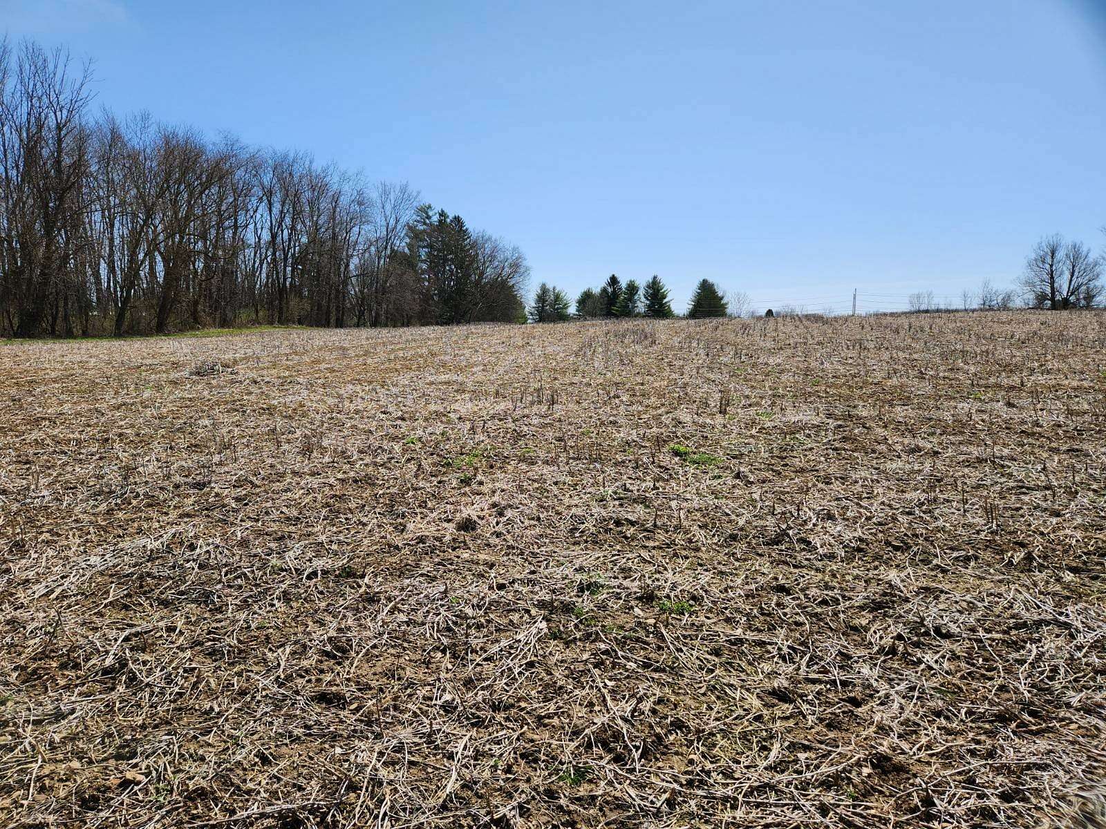 43.2 Acres of Agricultural Land for Sale in Rome, New York